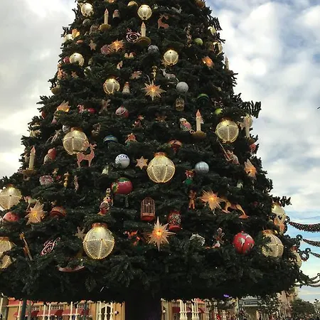 F&b's Disneyland Paris Серри